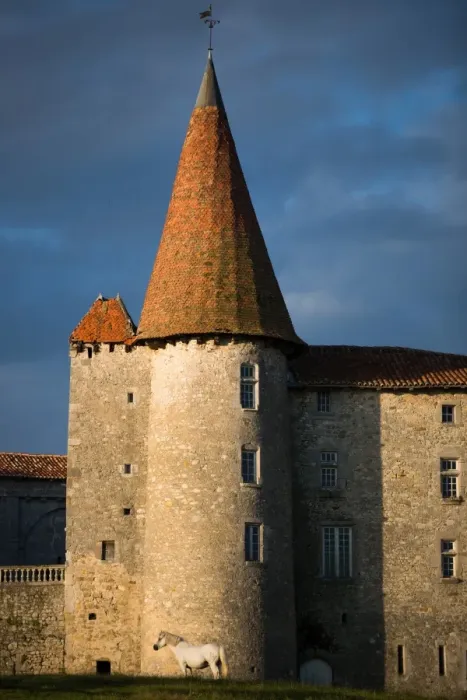 Framed Print : Chillac Chateau, La Charente, France, Europe