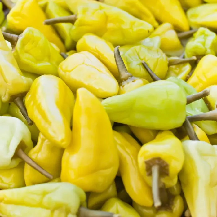 Framed Print : Chilli, one of the local vegetables at the Sunday morning market, Pollenca, Tramuntana, Mallorca, Balearic Islands, Spain, Europe