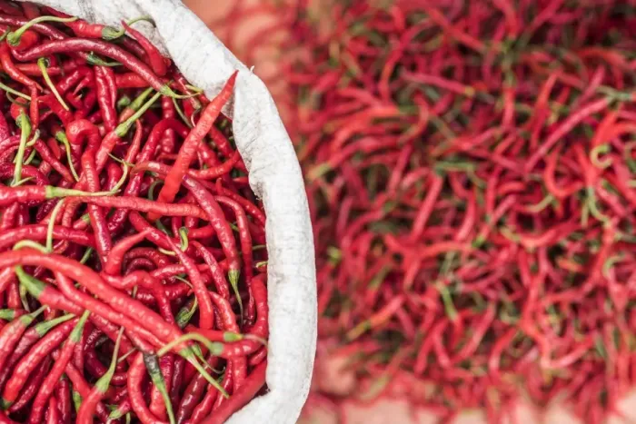 Framed Print : Chillies in Bukittinggi Market, West Sumatra, Indonesia, Southeast Asia, Asia Framed Print : Chillies in Bukittinggi Market, West Sumatra, Indonesia, Southeast Asia, Asia