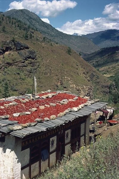 Chillies drying on the roof of a house in the hills in Bhutan, Asia