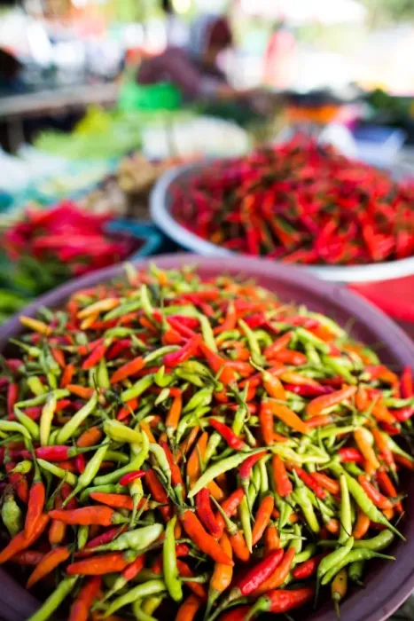 Framed Print : Chillies in market, Phuket, Thailand, Southeast Asia, Asia Framed Print : Chillies in market, Phuket, Thailand, Southeast Asia, Asia