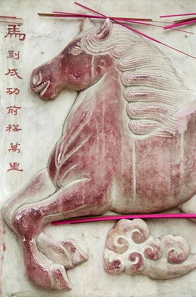 Chinese astrological sign, White Cloud Temple, Beijing, China, Asia