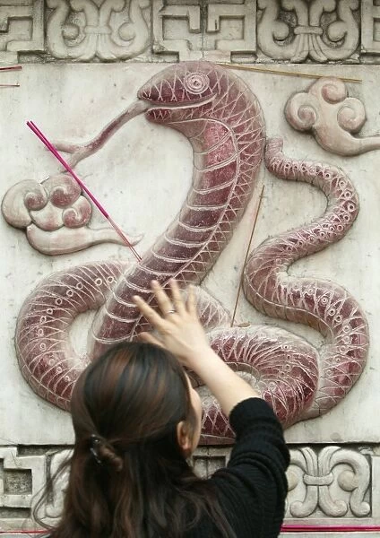 Chinese astrological sign, White Cloud Temple, Beijing, China, Asia