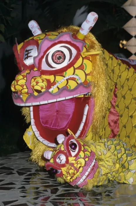Framed Print : Chinese dragon dance at Chinese New Year celebrations, Vietnam, Indochina, Southeast Asia, Asia Framed Print : Chinese dragon dance at Chinese New Year celebrations, Vietnam, Indochina, Southeast Asia, Asia