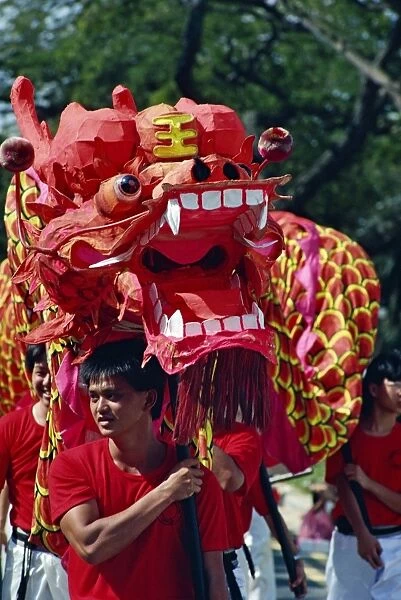 Chinese Dragon Dancers for National Day on 9th August