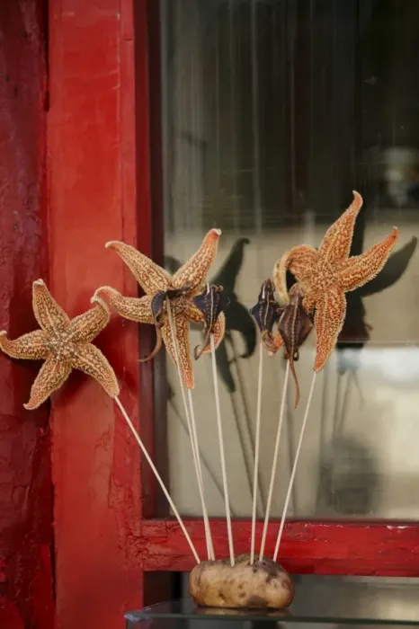 Framed Print : Chinese food, starfish, Beijing, China, Asia