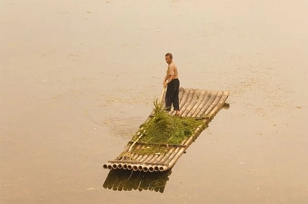Chinese man gathering seagrass on Li Jiang River, Guangxi Province, China, Asia
