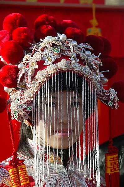 Chinese New Year, Paris, France, Europe