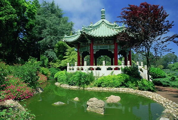 Chinese pavilion by a pond in the Golden Gate Park in San Francisco