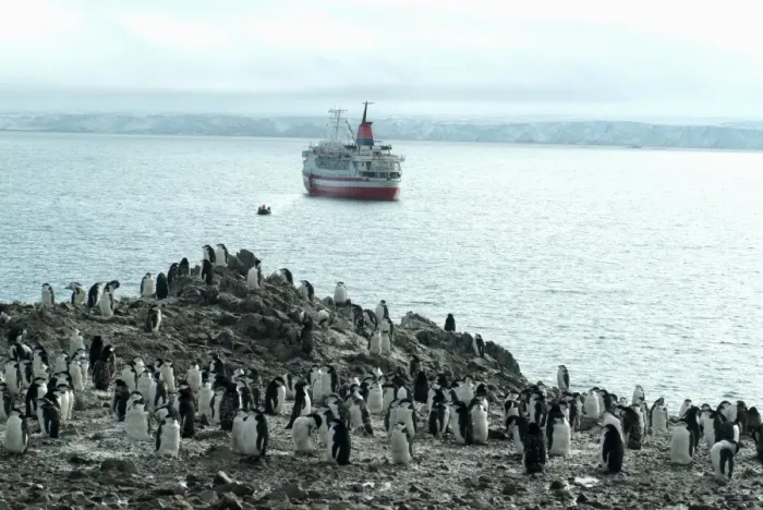 Framed Print : Chinstrap penguins on the shore with cruise ship and Zodiac in the background, Hannah Point, Anarctica, Polar Regions Framed Print : Chinstrap penguins on the shore with cruise ship and Zodiac in the background, Hannah Point, Anarctica, Polar Regions