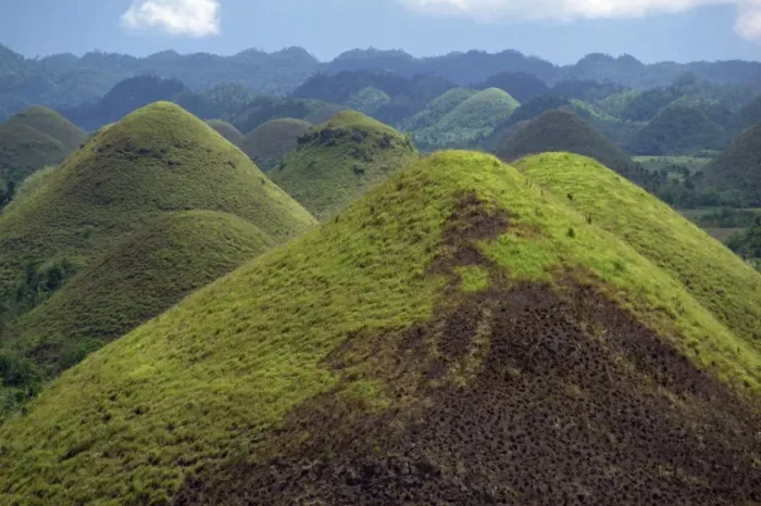 Framed Print : The Chocolate Hills Framed Print : The Chocolate Hills