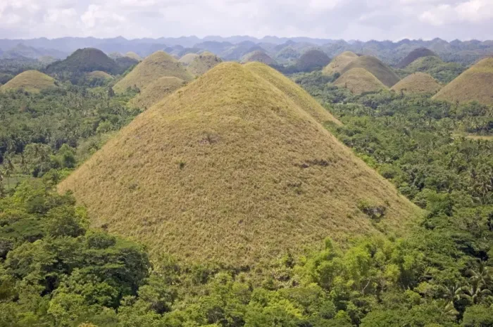 Framed Print : The Chocolate Hills, mounds of earth where grasses turn from green to brown during summer Framed Print : The Chocolate Hills, mounds of earth where grasses turn from green to brown during summer