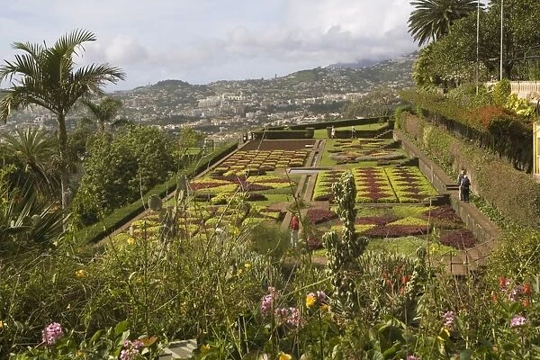 Choreographed garden, Botanical Gardens, Funchal, Madeira, Portugal, Europe