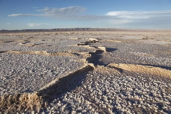 Chott El Jerid, flat dry salt lake between Tozeur and Kebili, Tunisia, North Africa
