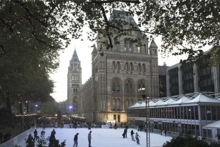 Framed Print : Christmas, Natural History Museum, Kensington, London, England, United Kingdom, Europe Framed Print : Christmas, Natural History Museum, Kensington, London, England, United Kingdom, Europe