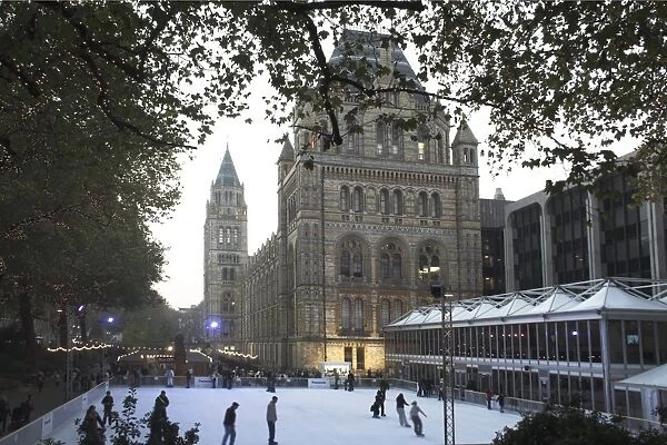 Christmas, Natural History Museum, Kensington, London, England, United Kingdom, Europe