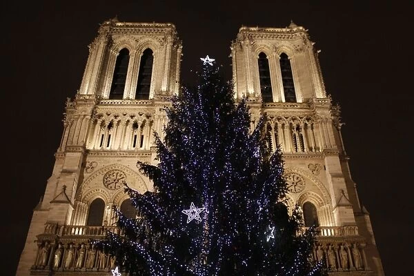 Christmas tree outside Notre-Dame de Paris cathedral, Paris, France, Europe