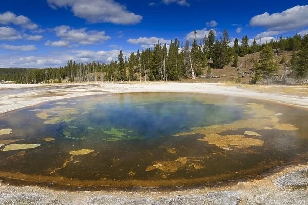 Chromatic Pool and surrounds on a clear day, Upper Geyser Basin, Yellowstone National Park, UNESCO World Heritage Site, Wyoming, United States of America, North America