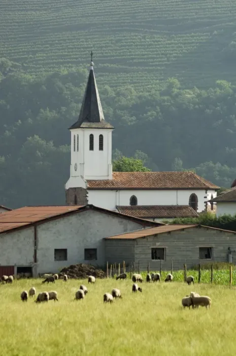Framed Print : Church in countryside near Saint Jean Pied de Port (St. -Jean-Pied-de-Port) Framed Print : Church in countryside near Saint Jean Pied de Port (St. -Jean-Pied-de-Port)