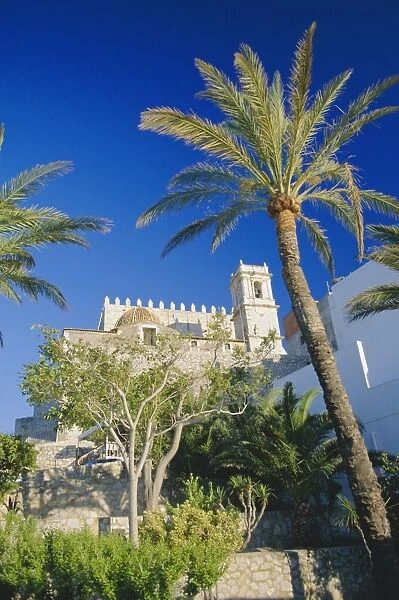 Church framed by palm trees
