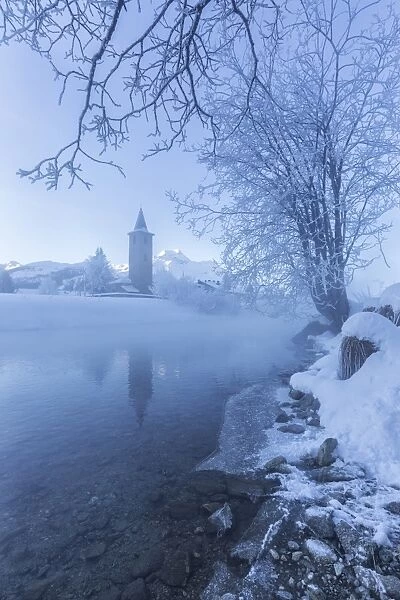 The church of Sils-Baselgia, in a winter landscape covered in snow in Engadine, from the misty banks of River Inn at sunrise, Graubunden, Switzerland, Europe