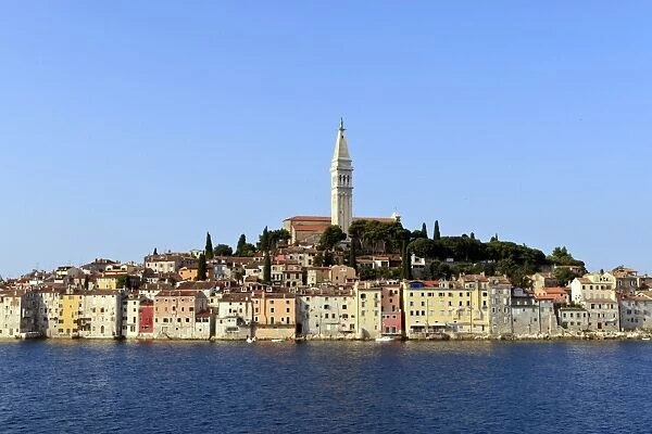 Church of St. Euphemia and Old Town from the sea on a summers early morning, Rovinj (Rovigno) peninsula, Istria, Croatia, Europe