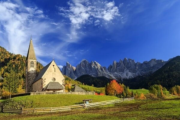 Church of St. Magdalena immersed in the colors of autumn, with the Odle Mountains in the background