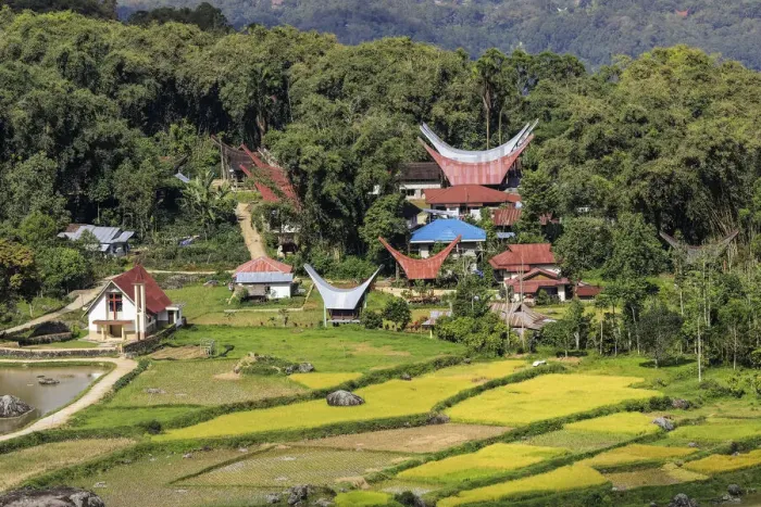 Framed Print : Church and tongkonan houses at Lempo amidst the Batutumonga rice paddies, Batutumonga, Rantepao, Toraja, South Sulawesi, Indonesia, Southeast Asia, Asia Framed Print : Church and tongkonan houses at Lempo amidst the Batutumonga rice paddies, Batutumonga, Rantepao, Toraja, South Sulawesi, Indonesia, Southeast Asia, Asia