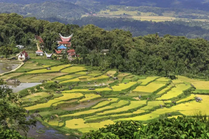 Framed Print : Church and tongkonan houses at Lempo amidst the Batutumonga rice paddies, Batutumonga, Rantepao, Toraja, South Sulawesi, Indonesia, Southeast Asia, Asia Framed Print : Church and tongkonan houses at Lempo amidst the Batutumonga rice paddies, Batutumonga, Rantepao, Toraja, South Sulawesi, Indonesia, Southeast Asia, Asia