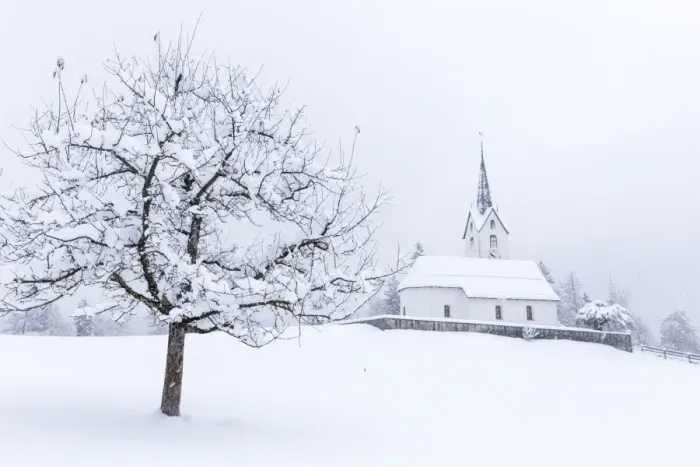 Framed Print : Church of Versam among the snow-laden trees, Versam, Safiental, Surselva, Graubunden Framed Print : Church of Versam among the snow-laden trees, Versam, Safiental, Surselva, Graubunden