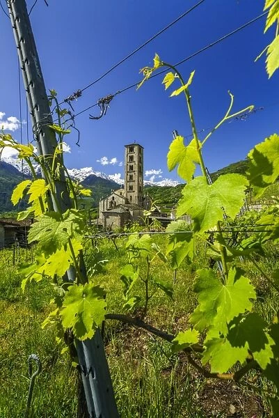 The Church of Villa di Tirano, hidden among the vineyards of Valtellina during the