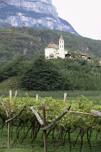 Church and vines at Missiano