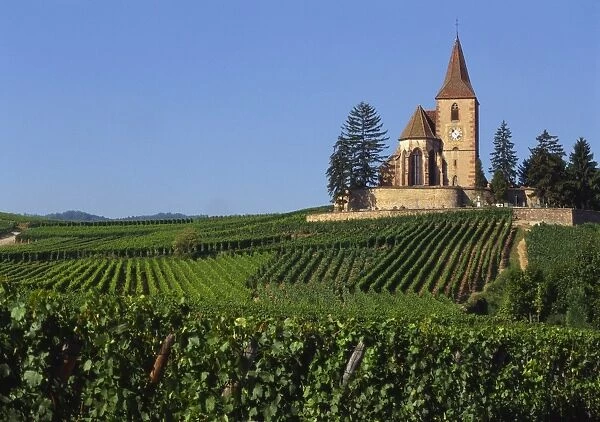 Church and Vineyards, Hunawihr, Alsace, France