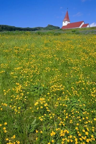 Church and wild flowers