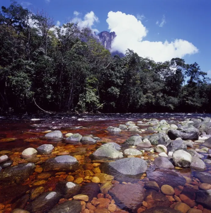 Framed Print : Churun River near base of Angel Falls, Churun Gorge, Auyantepui (Devils Mountain) Framed Print : Churun River near base of Angel Falls, Churun Gorge, Auyantepui (Devils Mountain)