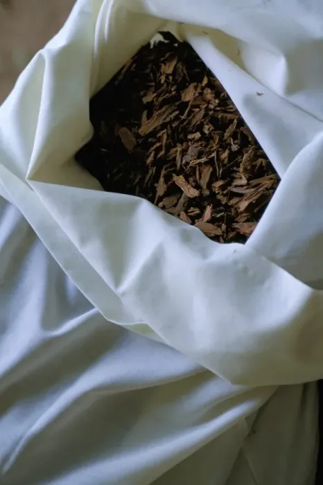 Framed Print : Cinnamon bark Framed Print : Cinnamon bark