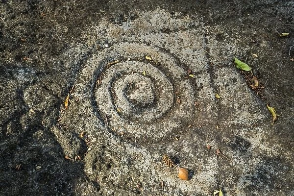 Circular motif petroglyph on rock at Finca Magadalena in the east, Volcan Maderas, Omotepe Island, Lake Nicaragua, Nicaragua, Central America