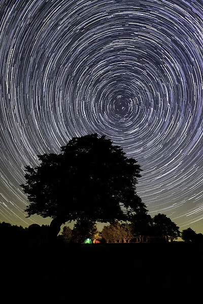 Circumpolar star trail with a tree silhouette and a campfire in the background