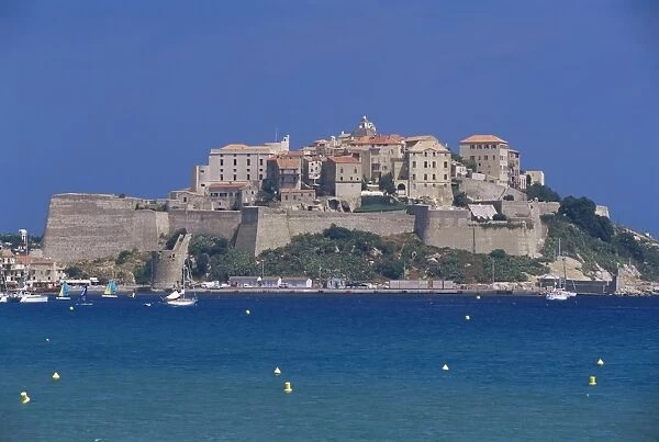 The citadel, Calvi, Corsica, France, Mediterranean, Europe