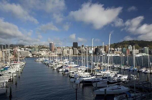 City centre and waterfront from Chaffers Marina, Wellington, North Island, New Zealand, Pacific