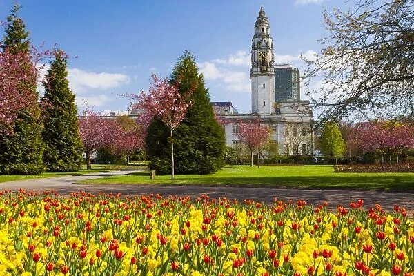 City Hall, Alexandra Gardens, Cathays Park, Cardiff, Wales, United Kingdom, Europe