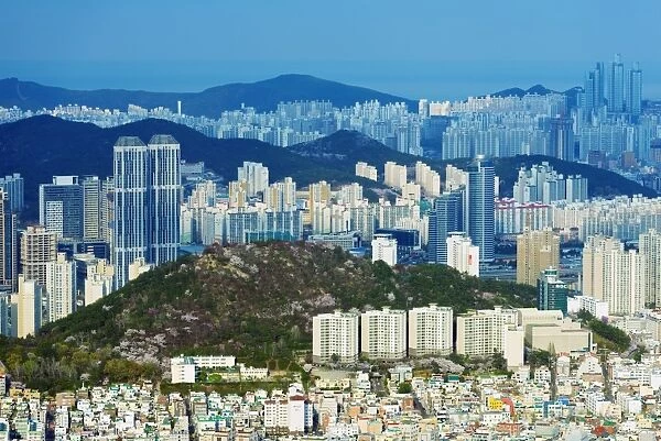 City skyline, Busan, South Korea, Asia