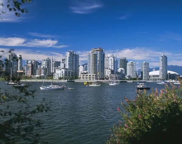 City skyline from False Creek, Vancouver, British Columbia (B. C. ), Canada, North America