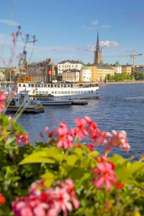 Framed Print : City skyline and flowers, Stockholm, Sweden, Scandinavia, Europe Framed Print : City skyline and flowers, Stockholm, Sweden, Scandinavia, Europe