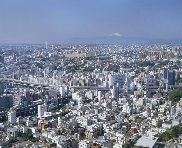 City skyline with Mount Fuji in the distance