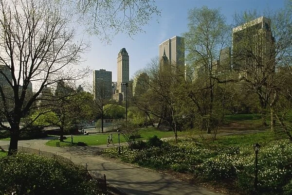 City skyline seen from Central Park