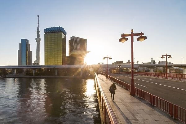 City skyline and the Skytree on the Sumida River at dawn, Tokyo, Japan, Asia