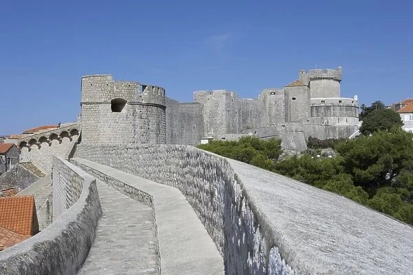 City wall and Fortress Minceta in background, Dubrovnik, Dalmatia, Croatia, Europe