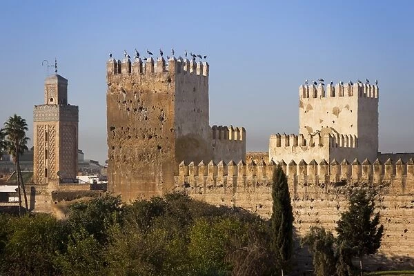 City walls, Fez, Morocco, North Africa, Africa