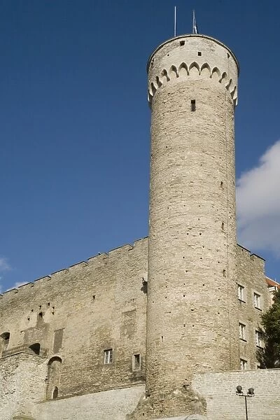City walls and Tall Herman Tower, Tallinn, Estonia, Baltic States, Europe